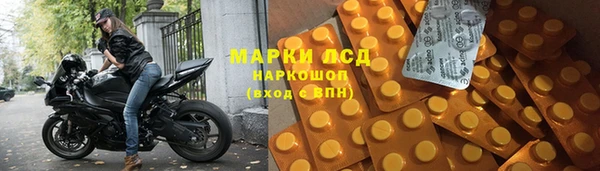 ГАЛЛЮЦИНОГЕННЫЕ ГРИБЫ Михайлов