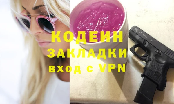 ГАЛЛЮЦИНОГЕННЫЕ ГРИБЫ Михайлов
