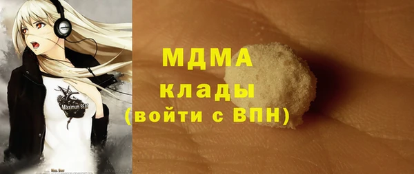 ГАЛЛЮЦИНОГЕННЫЕ ГРИБЫ Михайлов
