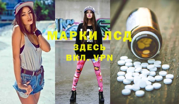 гашик Надым