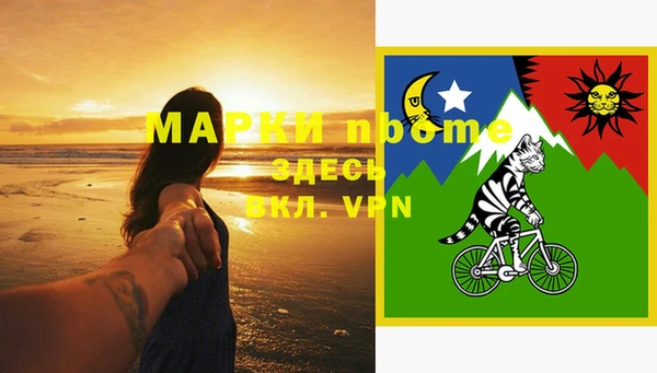 ГАЛЛЮЦИНОГЕННЫЕ ГРИБЫ Михайлов