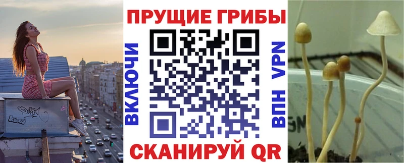 Псилоцибиновые грибы MAGIC MUSHROOMS  Купить где  Симферополь 