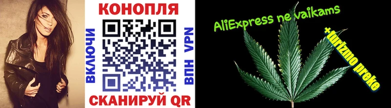 Купить где  Симферополь  Бошки Шишки VHQ 